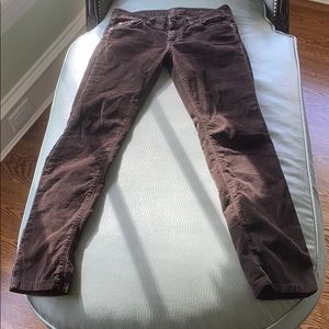 Brown cuordoroy said straight leg